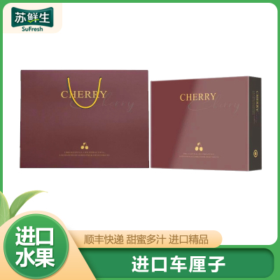 礼盒装[苏鲜生]顺丰空运 智利进口车厘子 J 净重5斤装 应季车厘子 新鲜水果 酸甜可口