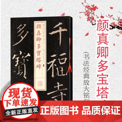 颜真卿多宝塔碑 书法经典放大 铭刻系列 书法碑帖 篆刻字帖 毛笔字书法自学教材 正版书法字帖 上海书画出版社 世纪出版