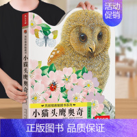 触摸书⭐小猫头鹰[加厚升级版] [正版] 幼儿早教触摸书4册宝宝0-3岁亮丽精美小兔比利小熊波比儿童手指推拉启蒙洞洞婴儿