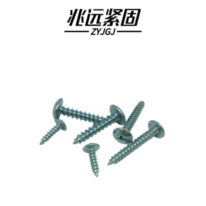 兆远紧固 大扁头自攻螺钉(个)(6*25)