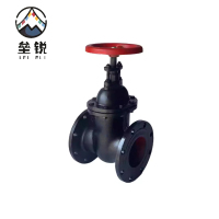 垒锐铸铁法兰闸阀 DN80 个