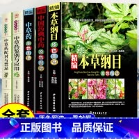 [全5册]中草药基础书籍 [正版]中医中草药书籍5册 本草纲目 中国药典原色图谱中草药彩图大全书李时珍全集彩图精装图解全