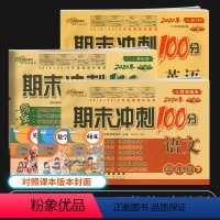 [正版]2020新版小学三年级下册试卷人教版期末冲刺100分三年级下册语文数学英语书试卷同步训练试卷小学3三年级下册试