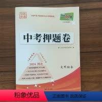 文科综合 河北省 [正版]河北文科综合2024年河北省中考押题卷 天利38套 中考研究临考冲刺提分答题讲解思路点拨知识拓