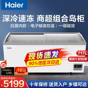 海尔(Haier)展示柜商用冰柜 全冷冻超市便利店雪糕速冻柜 电子温控卧式弧面玻璃门雪柜 717升弧面玻璃门717HEL