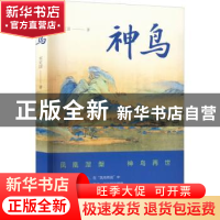 正版 神鸟 宋定国 文化艺术出版社 9787503972218 书籍
