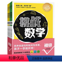 [正版]挑战数学初级全4册幼小衔接+一二年级训练儿童数学思维培养5-8岁