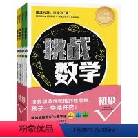 [正版]挑战数学初级全4册幼小衔接+一二年级训练儿童数学思维培养5-8岁