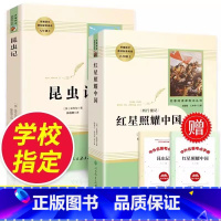 [八年级上册必读全套]昆虫记+红星照耀中国 [正版]八年级上册必读红星照耀中国昆虫记原著人教版初中生阅读名著无删减完整版