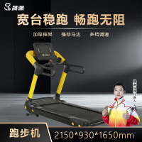 晟渊 跑步机家用款电动走步机智能折叠多功能健身器材 YT8005