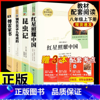 [人教版4册]八上红星+昆虫+八下钢铁+傅雷家书(三联书店) [正版]昆虫记原著完整版法布尔人民教育出版社 八年级上册必