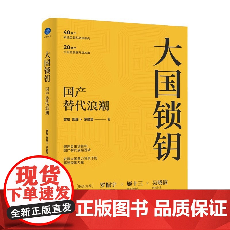 大国锁钥 国产替代浪潮 曾航等 著 罗振宇姬十三吴晓波 聚焦自主创新 国产替代底层逻辑 经济