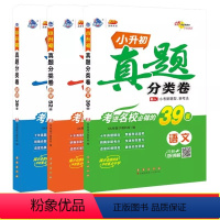 全套共3册 小学升初中 [正版]小升初真题分类卷语文数学英语 通用版小学升初中小考总复习考试练习题重点中学冲刺专项训练