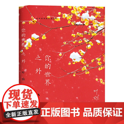 你的世界之外(走向世界的中国作家系列丛书)