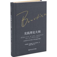 [M]实践理论大纲-9787300236469