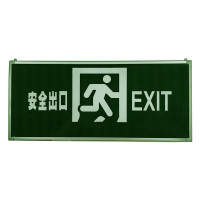 光大特照 M-BLZD-1LROEI5WCBD AC220V5W 300mAh IP30 消防应急标志灯具 计价单位:套