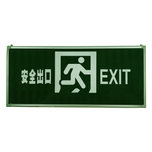 光大特照 M-BLZD-1LROEI5WCBD AC220V5W 300mAh IP30 消防应急标志灯具 计价单位:套