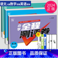 [正版]2024全程测评卷六年级下册语文数学英语六下全套人教版RJ苏教版SJ译林版YL江苏小学6年级下学期同步训练期末试