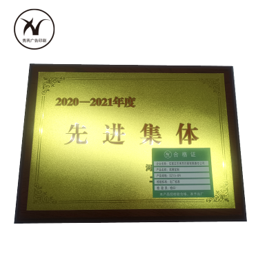 秀芮广告印刷 奖牌定制 DZ13-XR 个