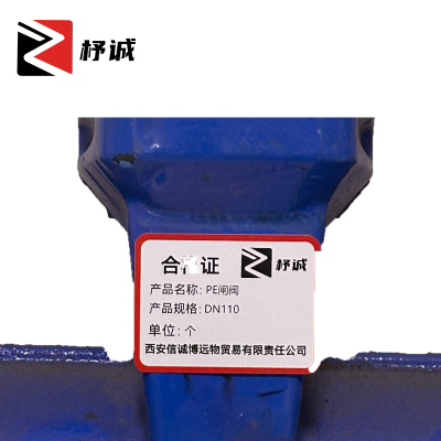 杼诚 PE闸阀 DN110/个