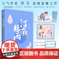 赠许愿卡+机票+折立卡+贴纸+语录书签]汀南丝雨 狄戈代表作纪念版沈司羽安浔青春文学都市爱情情感甜宠言情小说