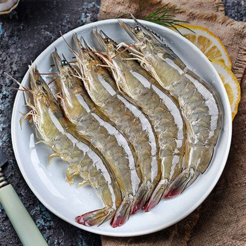 赛卡伊 新鲜海捕大虾活虾鲜冻急冻特大号海水大对虾海虾速冻冷冻500g