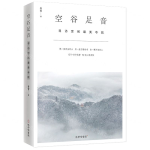[N]空谷足音(寻访世间最美寺院)-9787807701415