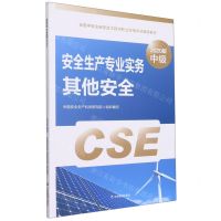 [N]安全生产专业实务其他安全(2020版中级全国中级注册安全工程师职业资格考试辅导教材)-9787502081560