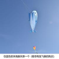 超级大风筝大型立体搞笑超大创意特大巨型长尾三角立体动物3d动物创意 三维工匠 蓝色萌萌海豚仅风筝(不含线)