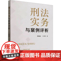刑法实务与案例评析 韩锦霞,王金垒 著 司法案例/实务解析社科 正版图书籍 中国检察出版社