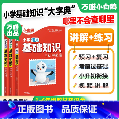 语文+数学+英语★套装更优惠 小学升初中 [正版]万唯小学基础知识与初中衔接大全语文数学英语人教版小升初总复习强化训练四