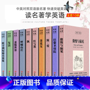 [中英互译]全十册 [正版]中英双语安徒生童话书全集中英文双语名著读物英汉对照互译英语小说安徒生原著 读名著学英语 高中