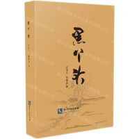 [N]黑丫头-9787513076340