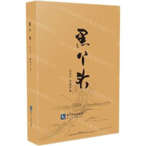 [N]黑丫头-9787513076340