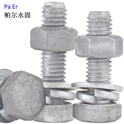 帕尔永固 镀锌穿钉(带垫片带母)(M16×320mm )套