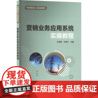 营销业务应用系统实操教程王金亮 经济书籍