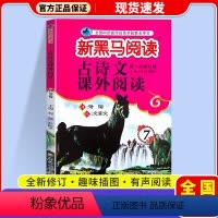 古诗文课外阅读 七年级/初中一年级 [正版]2024版新黑马阅读古诗文课外阅读七年级上下全一册初中语文初一7年级古文诗词