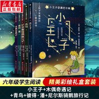 小王子奇遇尼尔斯:小王子+木偶奇遇记+青鸟+彼得·潘+尼尔斯骑鹅旅行记(套装共5册)