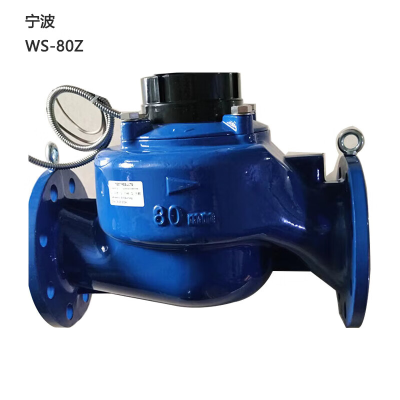 宁波水表WS-80Z