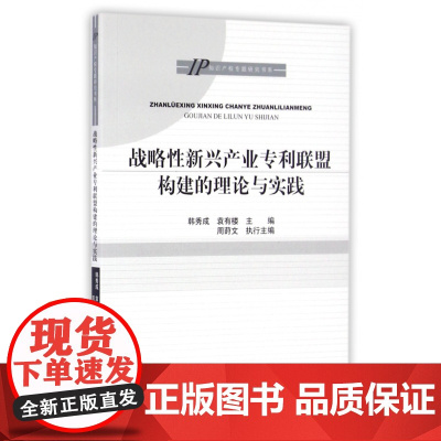 战略性新兴产业专利联盟构建的理论与实践/知识产权专题研究