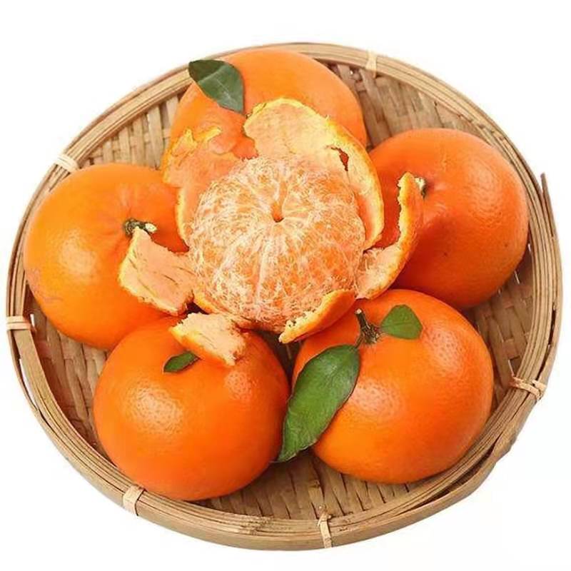 [鲜贝达]广西武鸣沃柑精品果5斤装[单果65mm]VC 橙子