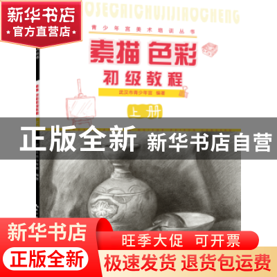 正版 素描色彩初级教程:上册 武汉市青少年宫 湖北美术出版社 978