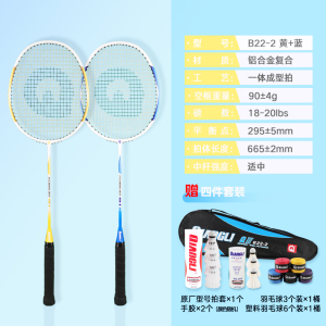 强力(QIANGLI) 羽毛球拍入门初学超轻稳定耐用攻守兼备