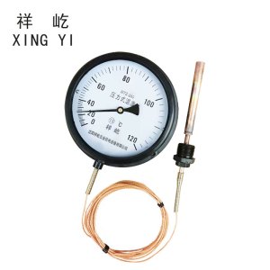 祥屹 压力式温度计定制检测款 WTZ280 120度 个