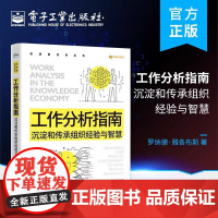 工作分析指南:沉淀和传承组织经验与智慧 工作分析在人力资源开发中的应用 角色职能流程 电子工业出版社