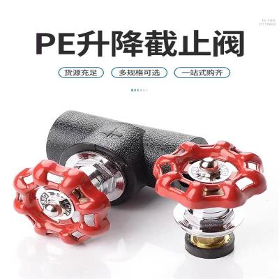 盛京联硕 PE截止阀 PE75(2.5寸)(承压1.6Mpa)个