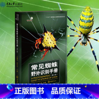 常见蜘蛛野外识别手册(第2版) [正版] 常见蜘蛛野外识别手册(第2版)好奇心书系·野外识别手册系列 常见的蜘蛛57