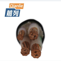 前列 铜芯交联电缆ZC-YJV-0.6/1KV-3*95+1*50mm² 米