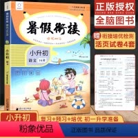 [正版]新版暑假衔接培优100分小升初语文小升初语文人教版小学毕业复习作业本小学生专项同步训练习册培训辅导资料习题全脑