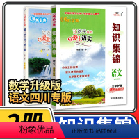 [正版]四川专版培优宝典知识集锦语文+数学 小学知识大全四五六年级知识大集结辅导资料知识手册小升初毕业总复习基础学习工